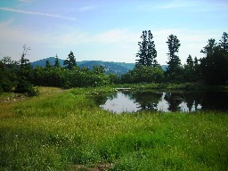 The Lake at Crater Lake with Miner's Park and Tooth Rifge Behind